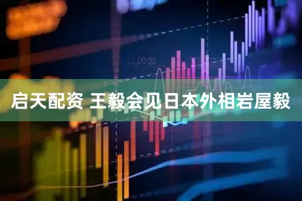 启天配资 王毅会见日本外相岩屋毅